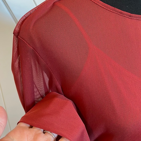 Rebecca Minkoff Sheer rose Long Sleeve Top Medium - Picture 3 of 6